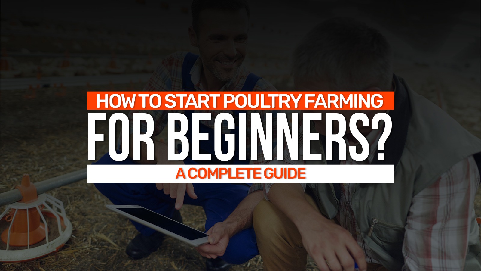 How To Start Poultry Farming For Beginners: Full Guide