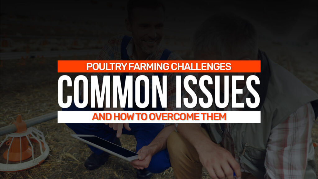 Poultry Farming Challenges: ​Common Issues and How to Overcome Them