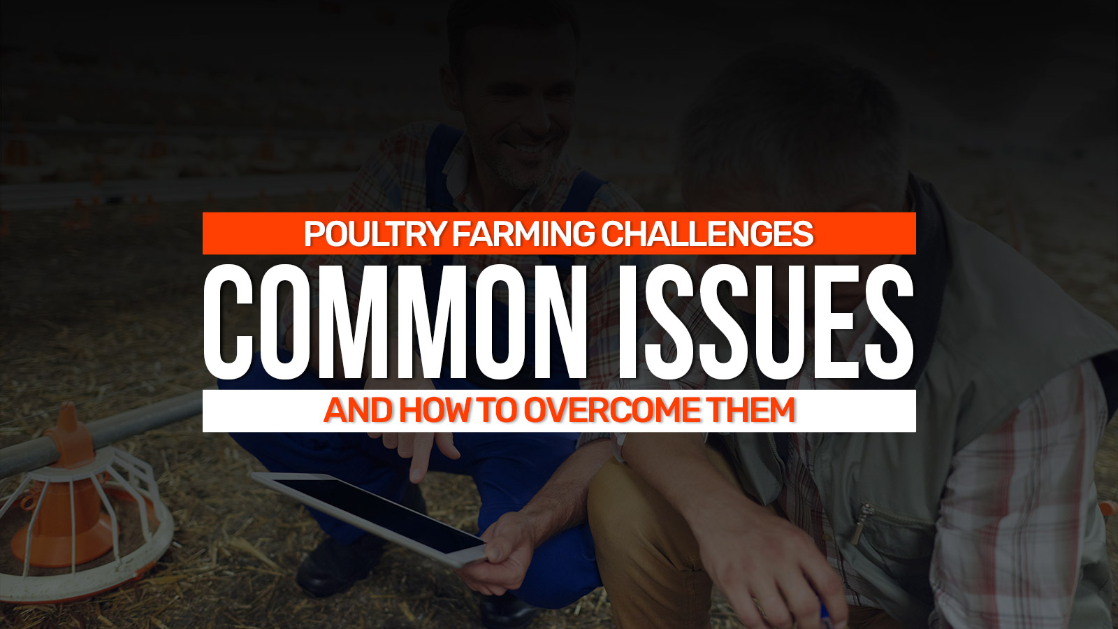 Poultry Farming Challenges – Common Issues & Solutions